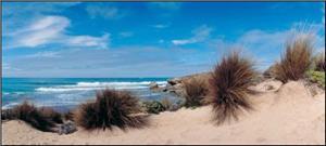 Cape Jaffa Coastline